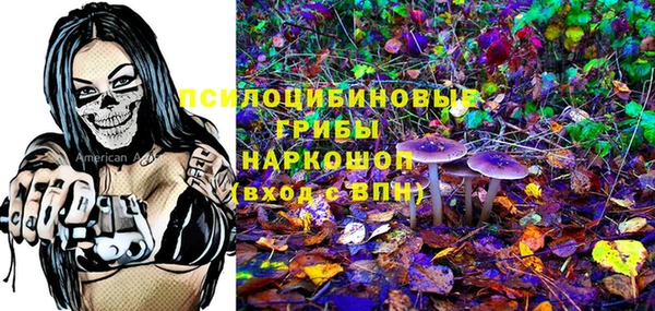 мяу мяу мука Елабуга