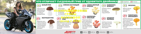 мяу мяу мука Елабуга