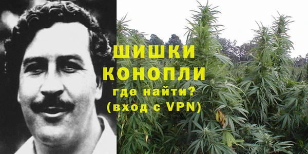 MESCALINE Елизово
