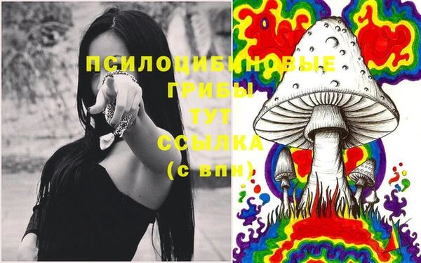 мяу мяу мука Елабуга
